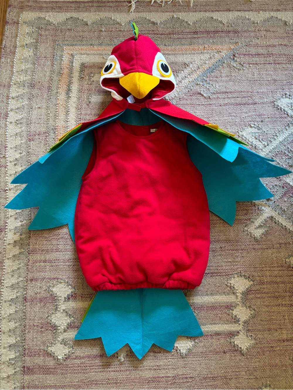 Pottery Barn Kids toddler boy girl costume